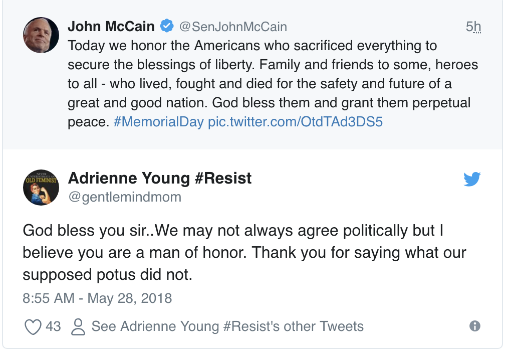 Screen-Shot-2018-05-28-at-12.09.07-PM John McCain Wins Memorial Day With Powerful Message Like A True American Hero Corruption Donald Trump Military Politics Top Stories 