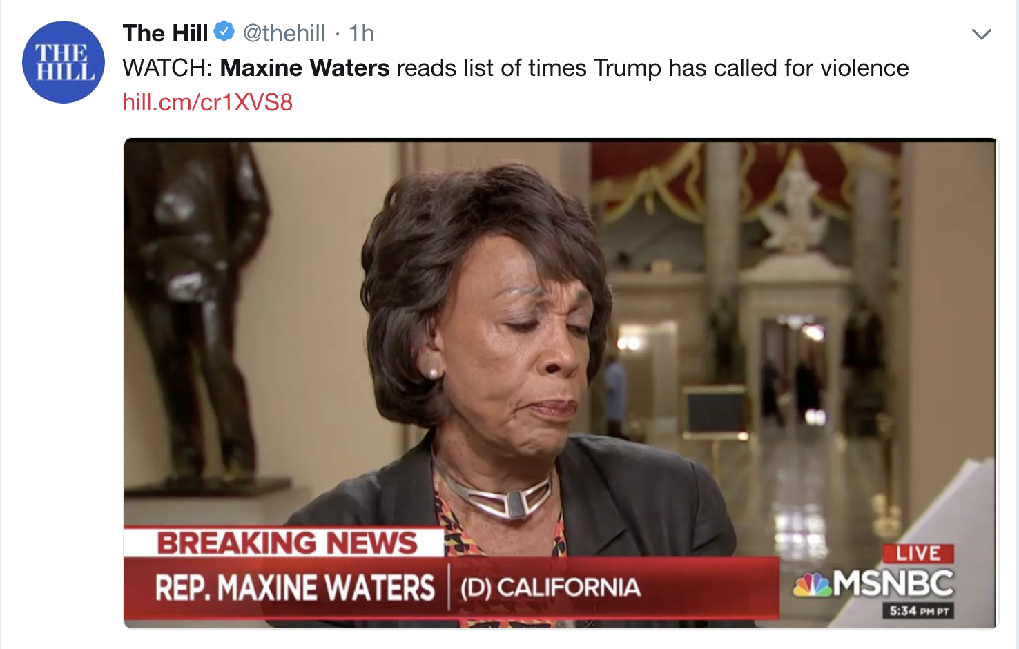 Screen-Shot-2018-06-26-at-9.09.18-AM Trump Fan Charged With Attempted Murder On Maxine Waters After Donald's Threat Corruption Donald Trump Immigration Politics Top Stories 