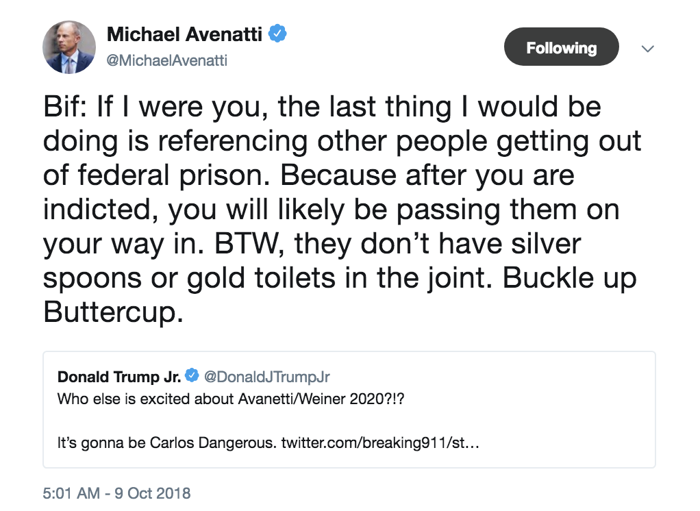 Screen-Shot-2018-10-09-at-12.25.28-PM Trump Jr. Gets Smashed On Twitter By Stormy Daniels' Lawyer & It's Perfect Corruption Crime Donald Trump Election 2020 Politics Top Stories 