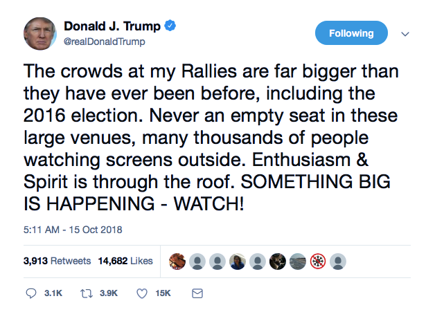 Screenshot-at-Oct-15-08-31-13 Trump Tweets Nonsense About His Hillbilly Rallies & Gets Shredded Like A Punk Donald Trump Featured Politics Social Media Top Stories 