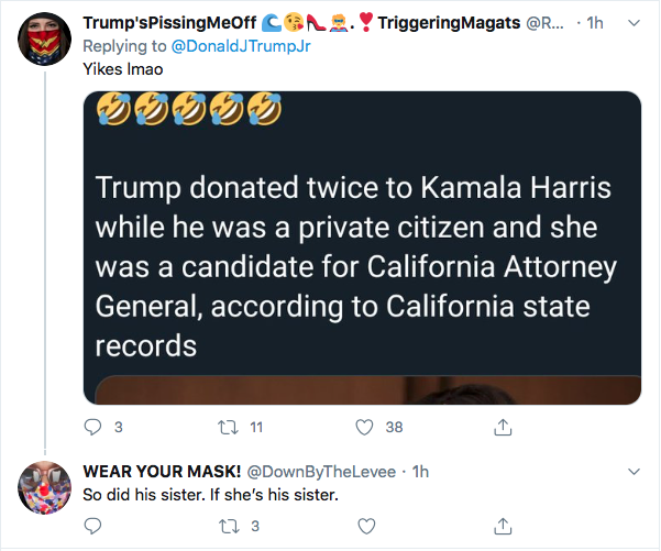 Screen-Shot-2020-08-11-at-6.39.43-PM Trump Jr. Attempts Kamala Harris Insult But Fails Miserably Donald Trump Election 2020 Featured Politics Sexual Assault/Rape Top Stories 