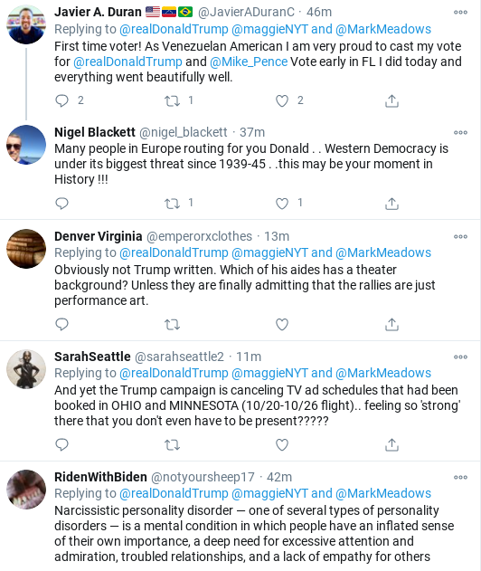 Screenshot-2020-10-19-at-2.42.22-PM Trump Singles Out NY Times Reporter During Unhinged Afternoon Attack Donald Trump Election 2020 Politics Social Media Top Stories 