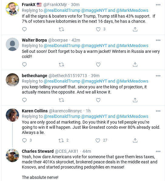 Screenshot-2020-10-19-at-2.44.57-PM Trump Singles Out NY Times Reporter During Unhinged Afternoon Attack Donald Trump Election 2020 Politics Social Media Top Stories 