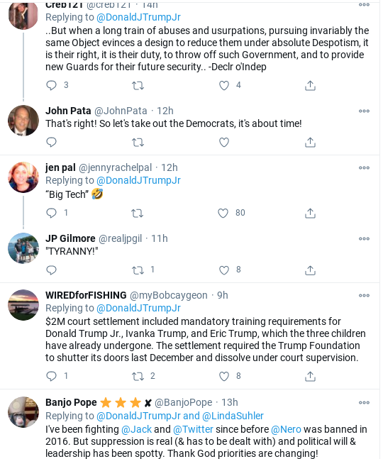 Screenshot-2020-12-05-at-11.16.17-AM Trump Jr. Suffers Humiliating Twitter Freak-Out As Dad's Presidency Collapses Donald Trump Election 2020 Politics Social Media Top Stories 