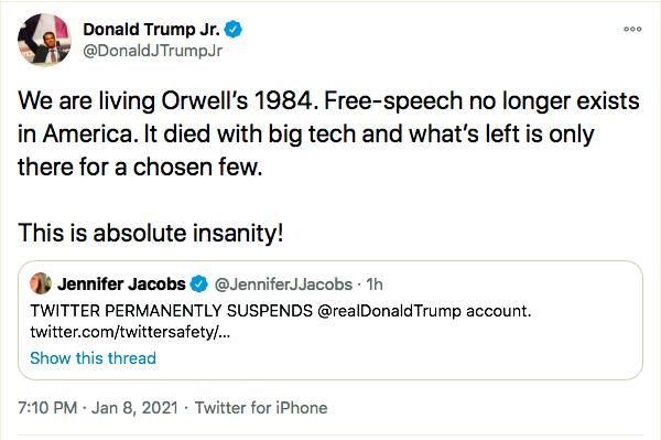 Screen-Shot-2021-01-08-at-8.11.21-PM Don Jr Has Child-Like Hissy-Fit Over Dad's Twitter Ban Conspiracy Theory Donald Trump Featured Politics Top Stories Twitter 