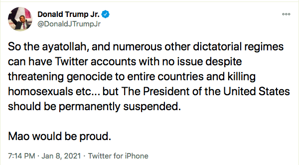Screen-Shot-2021-01-08-at-8.11.40-PM Don Jr Has Child-Like Hissy-Fit Over Dad's Twitter Ban Conspiracy Theory Donald Trump Featured Politics Top Stories Twitter 