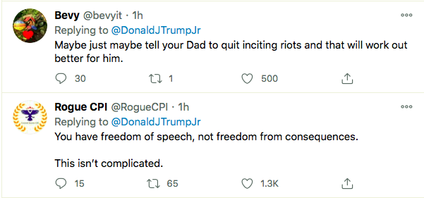 Screen-Shot-2021-01-08-at-8.20.30-PM Don Jr Has Child-Like Hissy-Fit Over Dad's Twitter Ban Conspiracy Theory Donald Trump Featured Politics Top Stories Twitter 