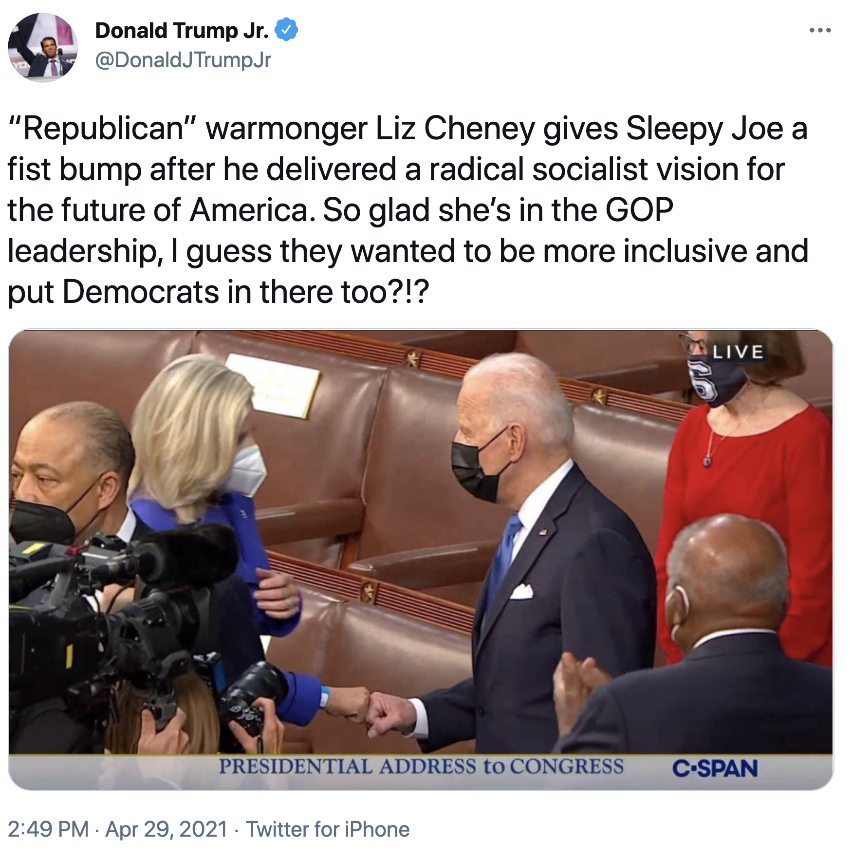 Screen-Shot-2021-04-30-at-10.33.28-AM Liz Cheney Clowns On Donald Trump Jr. For Being A Dweeb Domestic Policy Featured Politics Top Stories Women's Rights 
