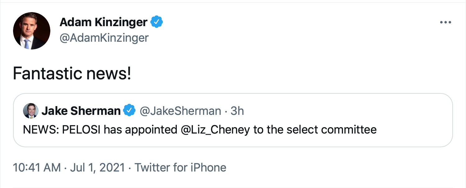Screen-Shot-2021-07-01-at-1.37.48-PM Adam Kinzinger Gives Kudos To Liz Cheney Over Jan. 6 Commission Crime Donald Trump Featured Politics Top Stories Twitter 
