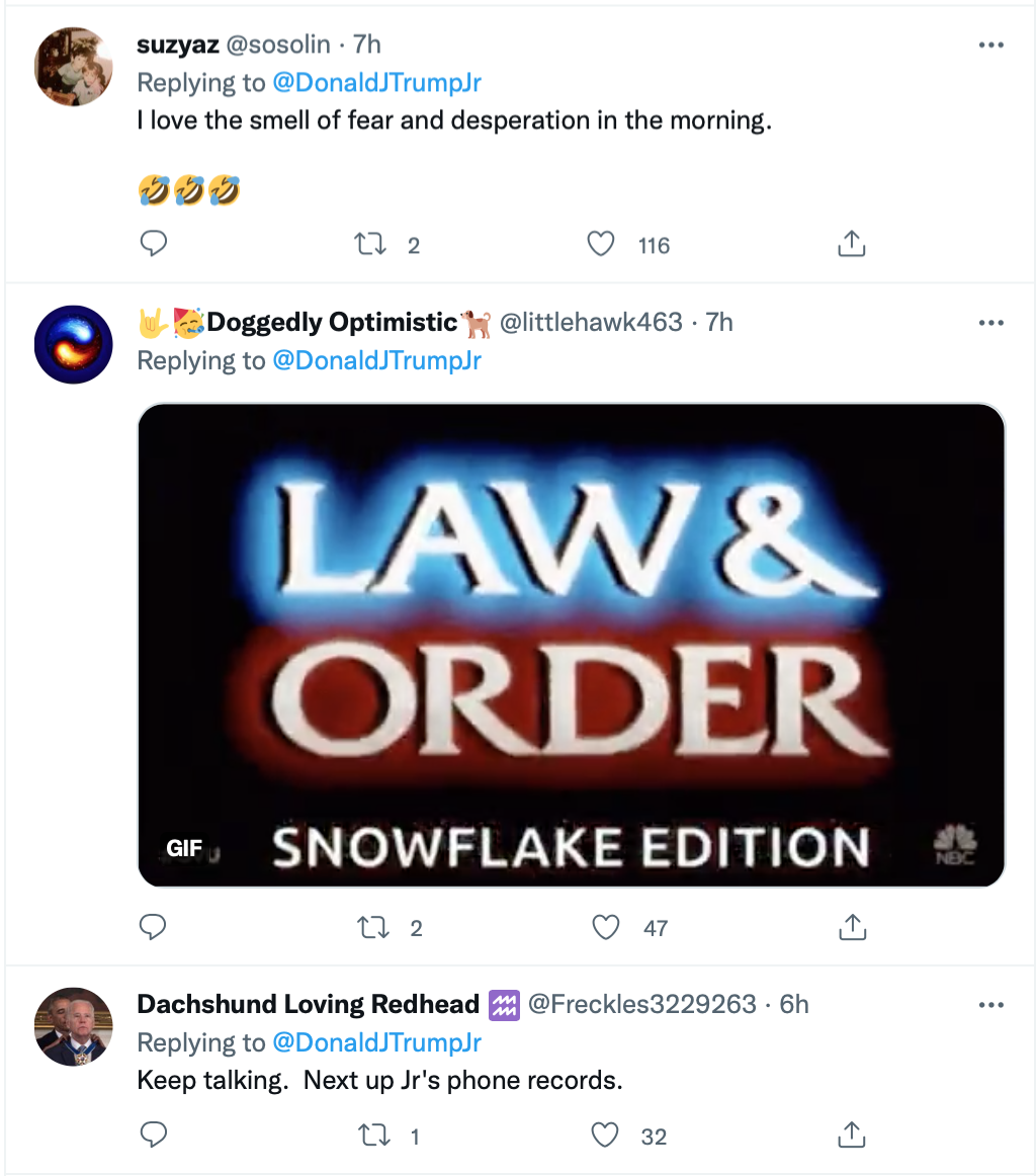 Screen-Shot-2022-01-19-at-4.26.44-PM Trump Jr. Has Whiny Conniption Fit Over NY AG Subpoena Corruption Crime Donald Trump Featured Politics Top Stories Twitter 