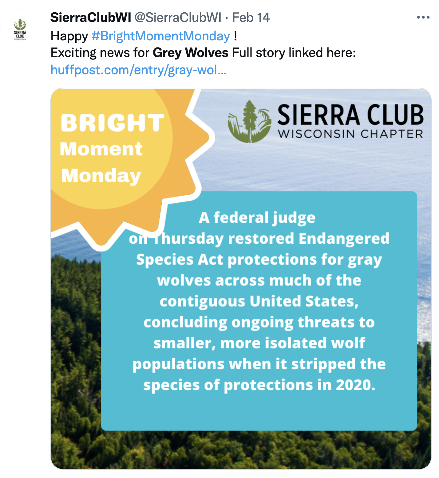 Screen-Shot-2022-02-15-at-4.16.31-PM Grey Wolf Put Back On Endangered List Reversing Trump Policy Donald Trump Environment Featured Politics Top Stories 