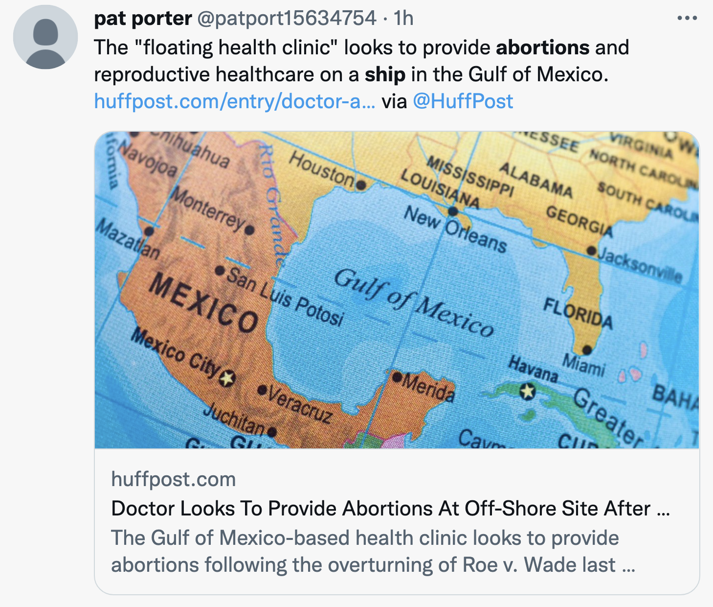 Screen-Shot-2022-07-10-at-9.16.20-AM Floating Abortion Center That Bypasses SCOTUS Ban Revealed Abortion Featured Politics Top Stories Women's Rights 