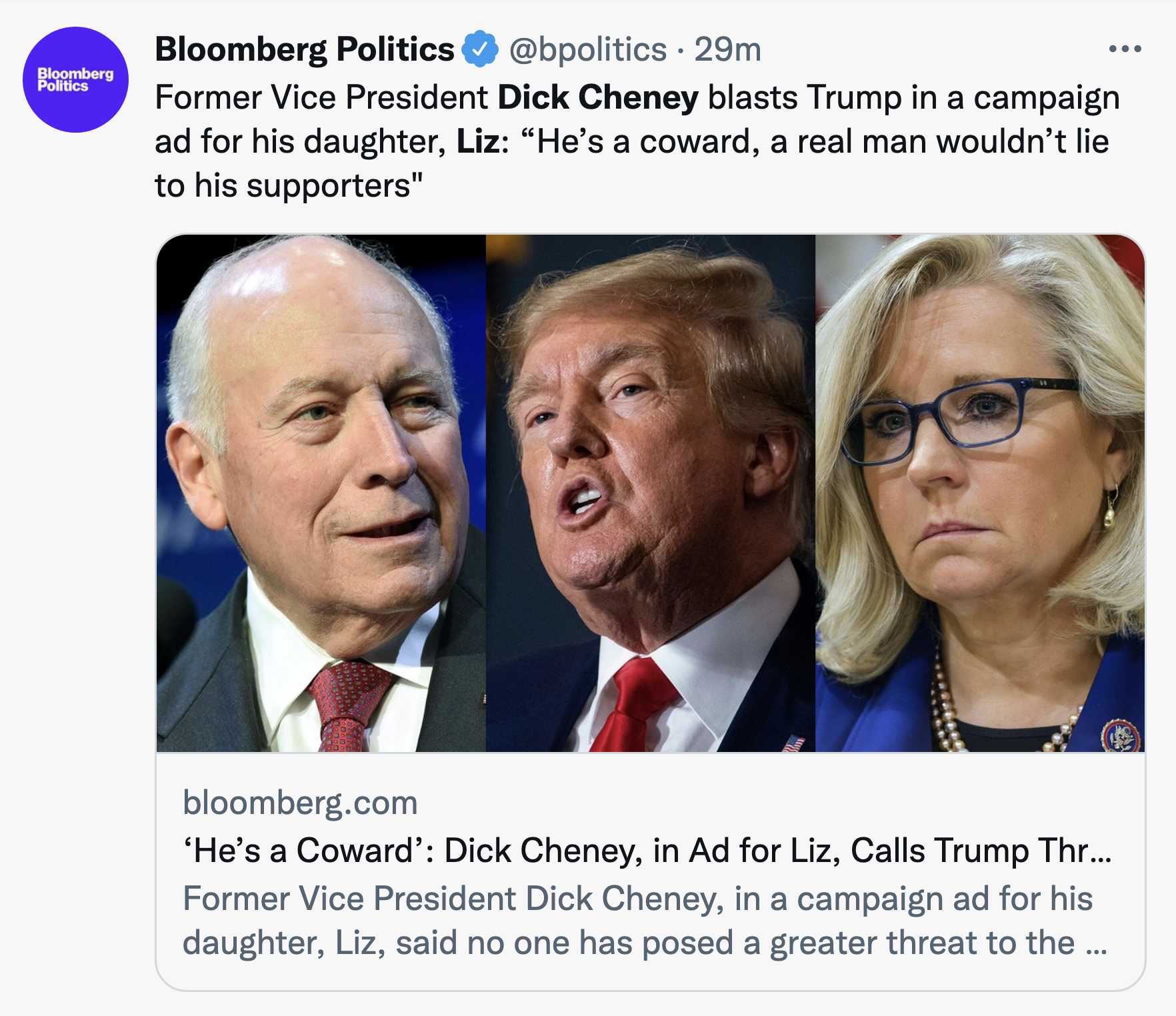 Screen-Shot-2022-08-04-at-4.05.38-PM Dick Cheney Comes Out of Hiding To Rip Donald Trump Election 2022 Featured Media Politics Top Stories 