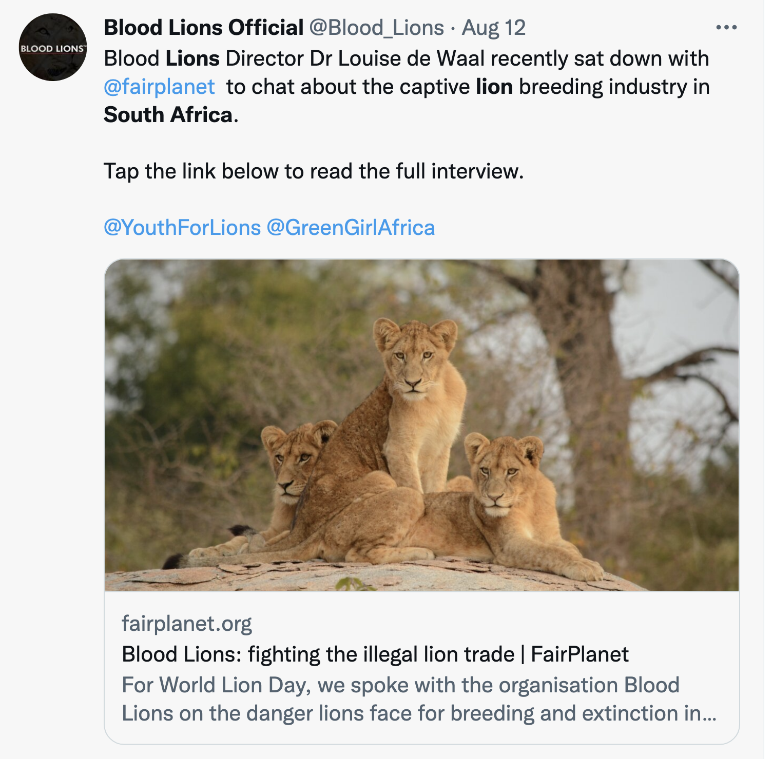 Screen-Shot-2022-08-14-at-10.14.39-AM Pride Of Lions Eats Rhino Poacher Alive In South Africa Animal Rights Corruption Crime Featured Top Stories 